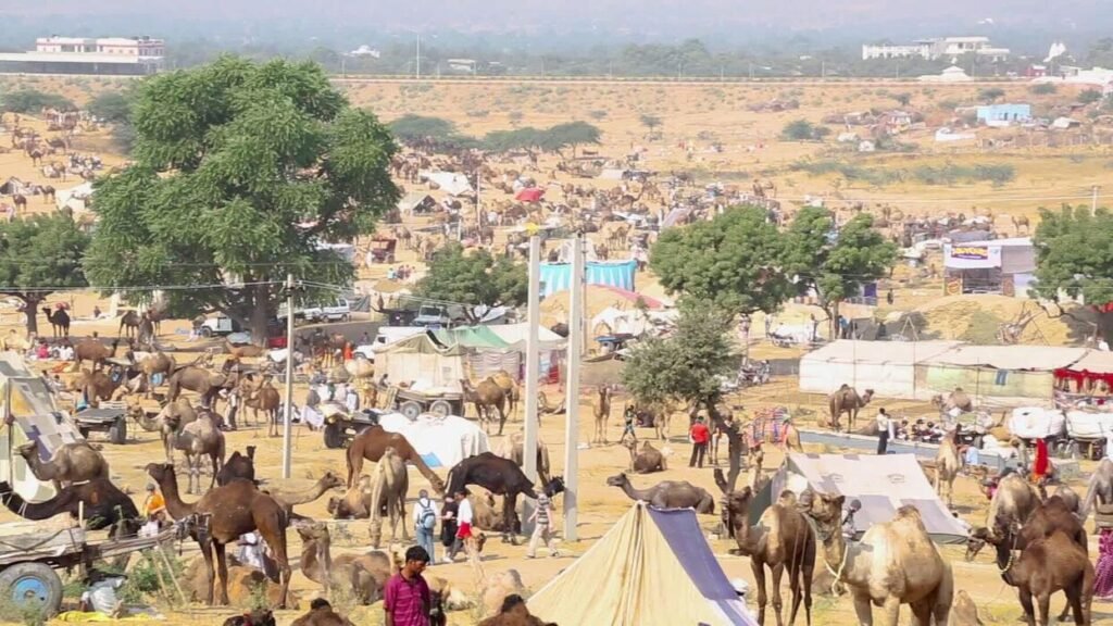 Pushkar in November