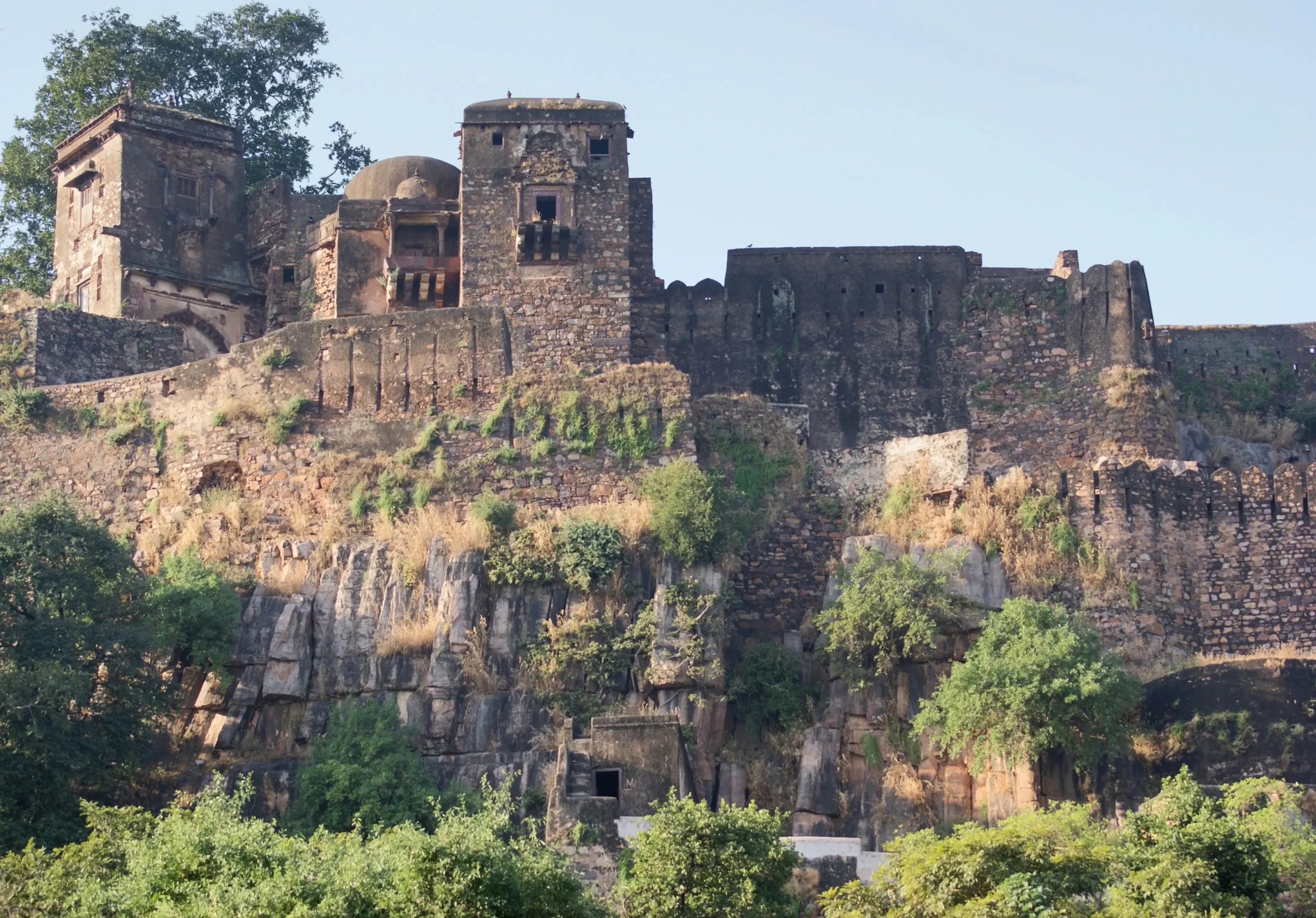 Ranthambore in October