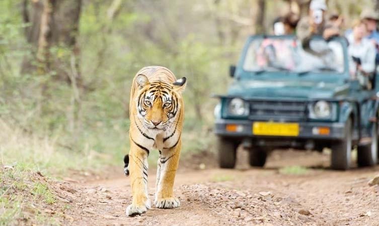 Biggest Zoo in India