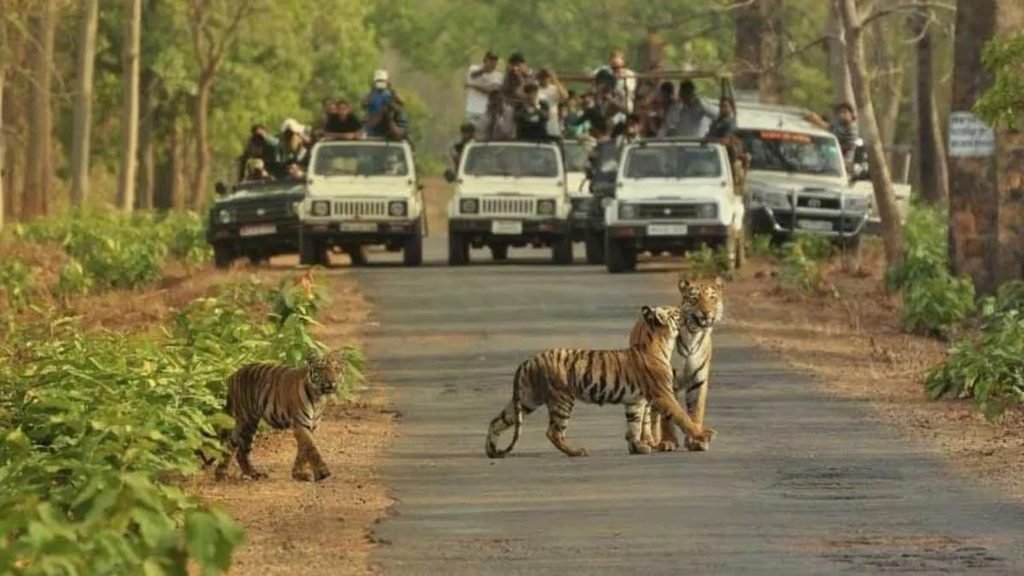 Biggest Zoo in India