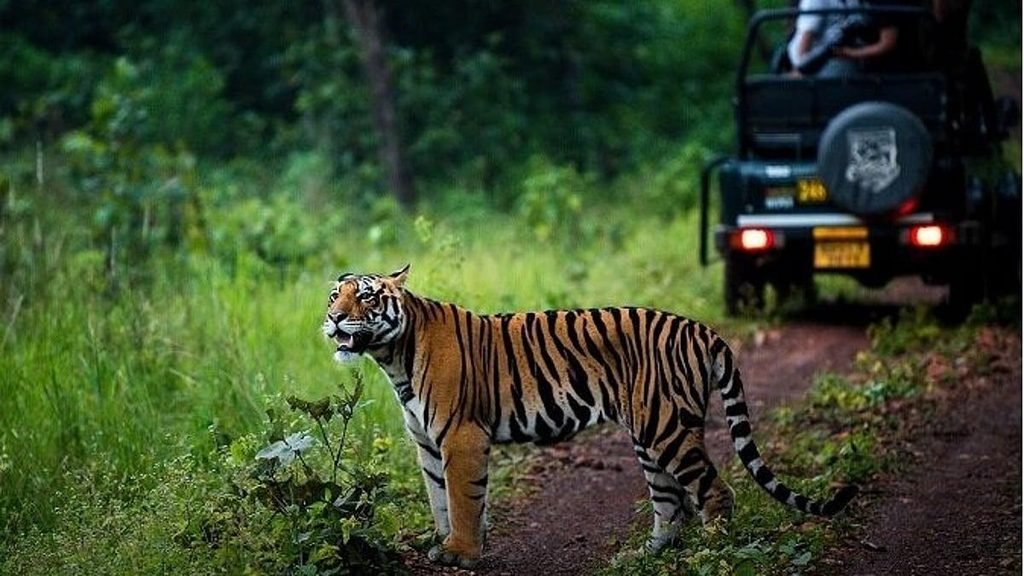 Biggest Zoo in India
