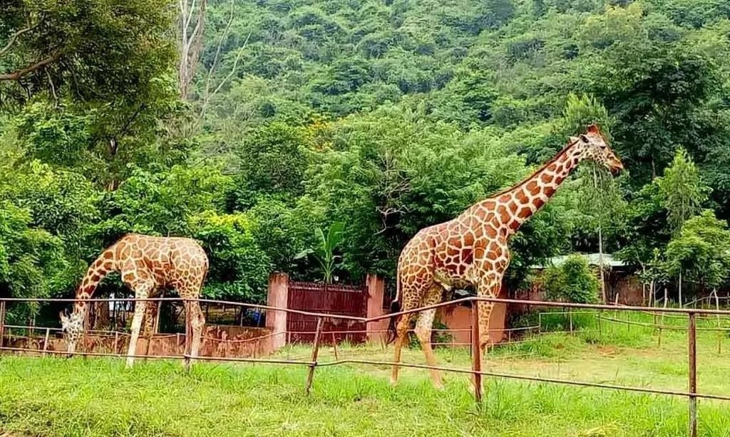 Biggest Zoo in India