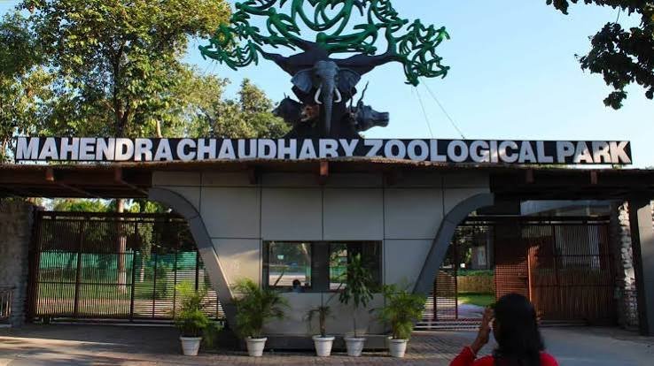 Chhatbir Zoo Chandigarh